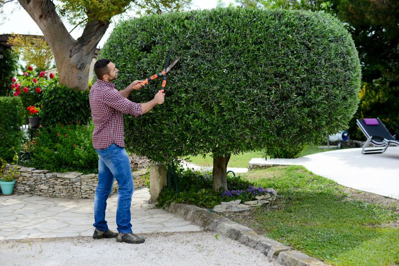 Shrub Trimming Service