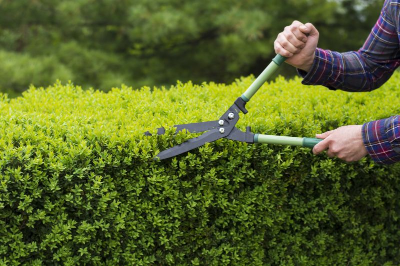 Bush Trimming