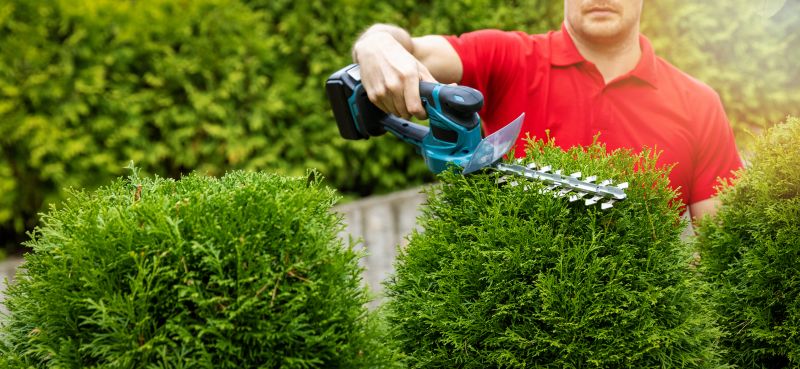 Bush Trimming