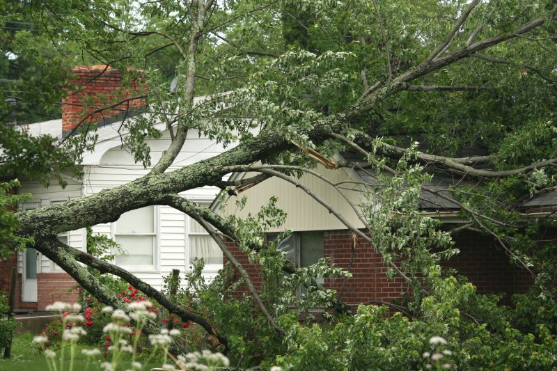 Emergency Tree Removal in Pottstown, PA