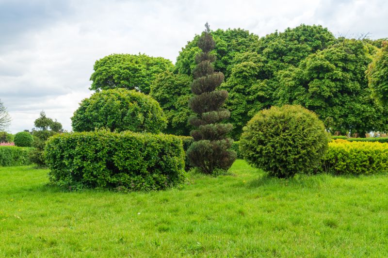 Landscape Pruning Service in Honolulu, HI