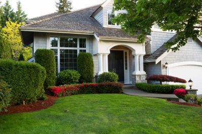 Garden Path Flanked by Shrubs