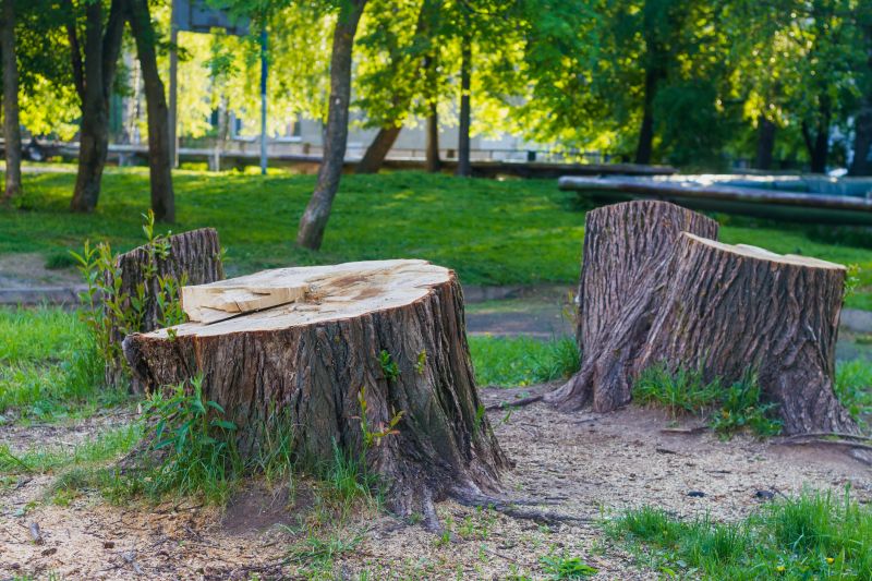 Stump Cutting in Calvert County, MD